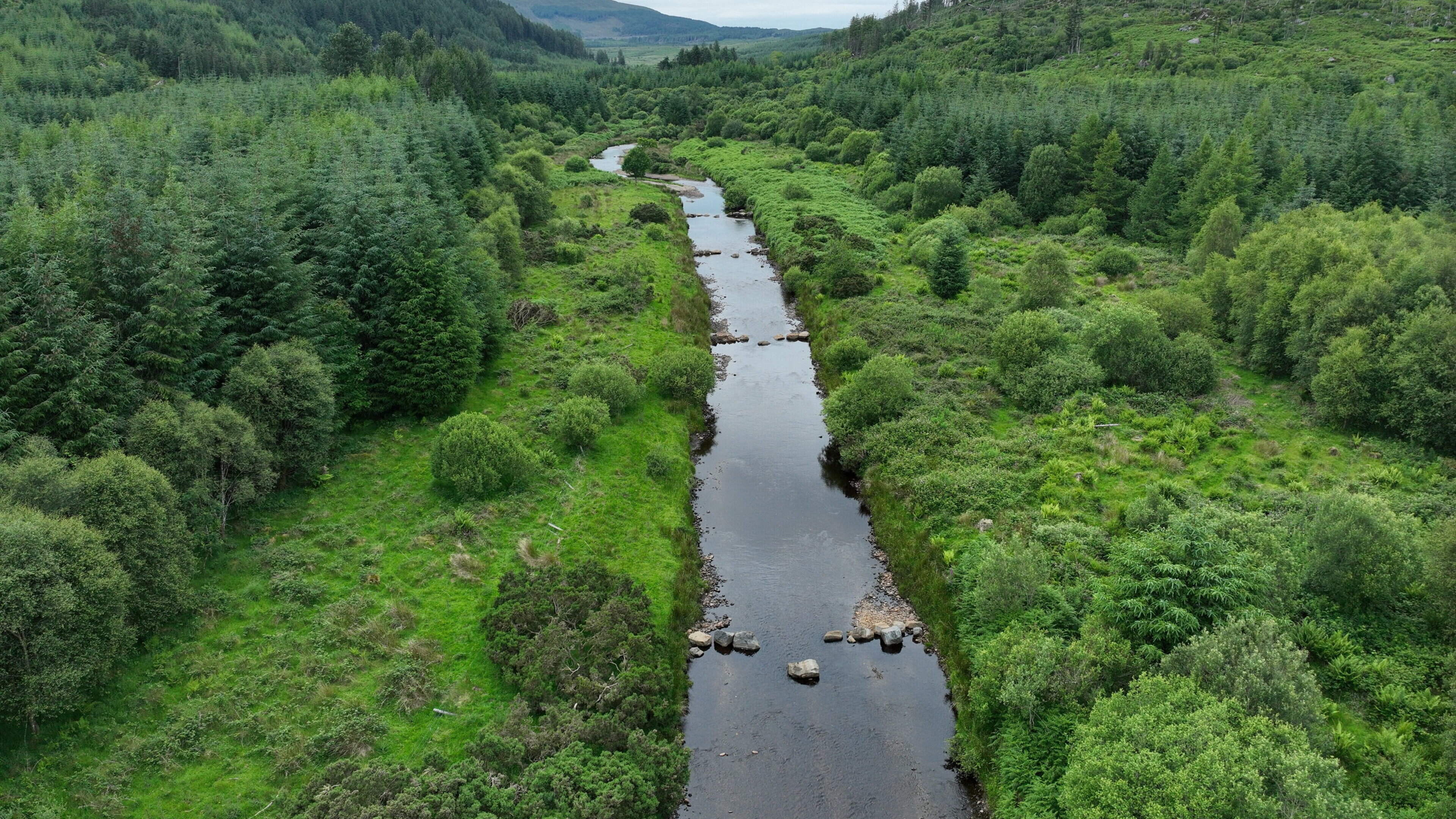 Inland Fisheries Ireland funds two Sligo river restoration projects